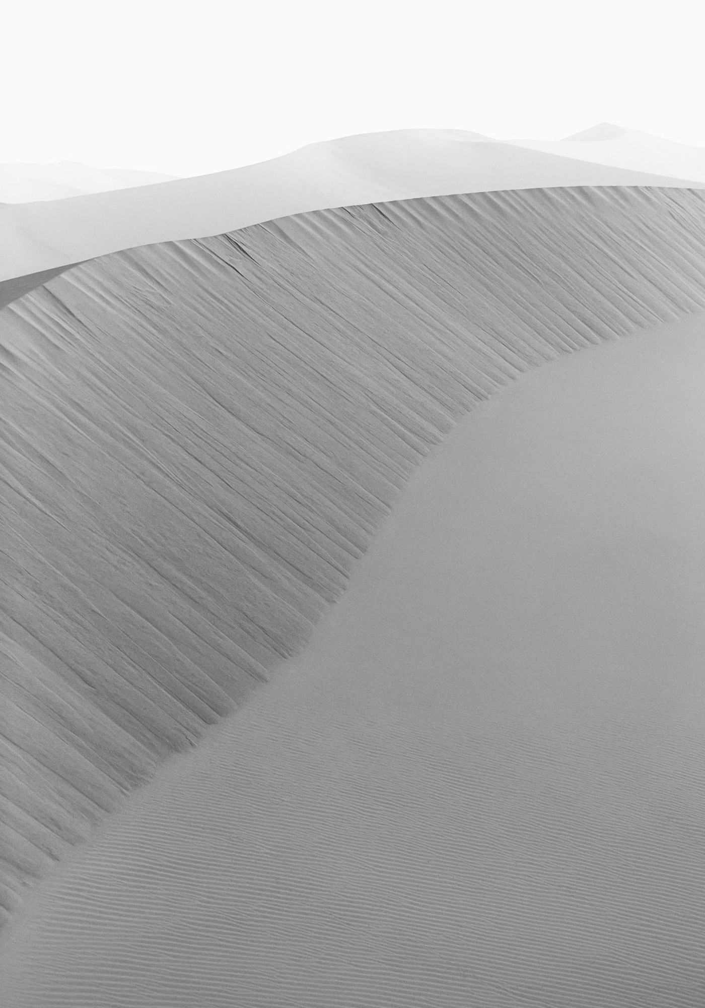 Dunes Landscapes Evolving Drew Doggett