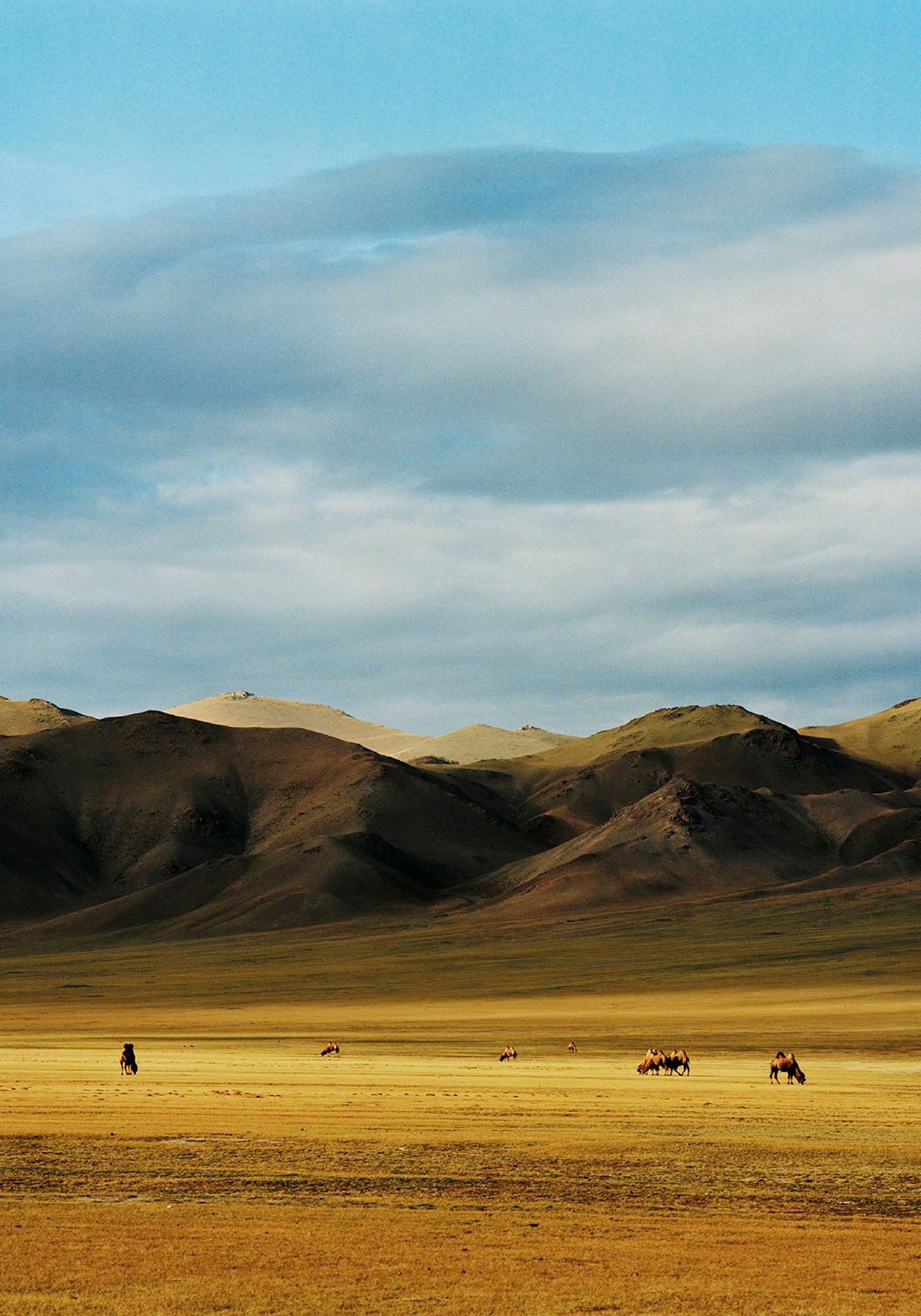 Photographie Frédéric Lagrange Mongolia