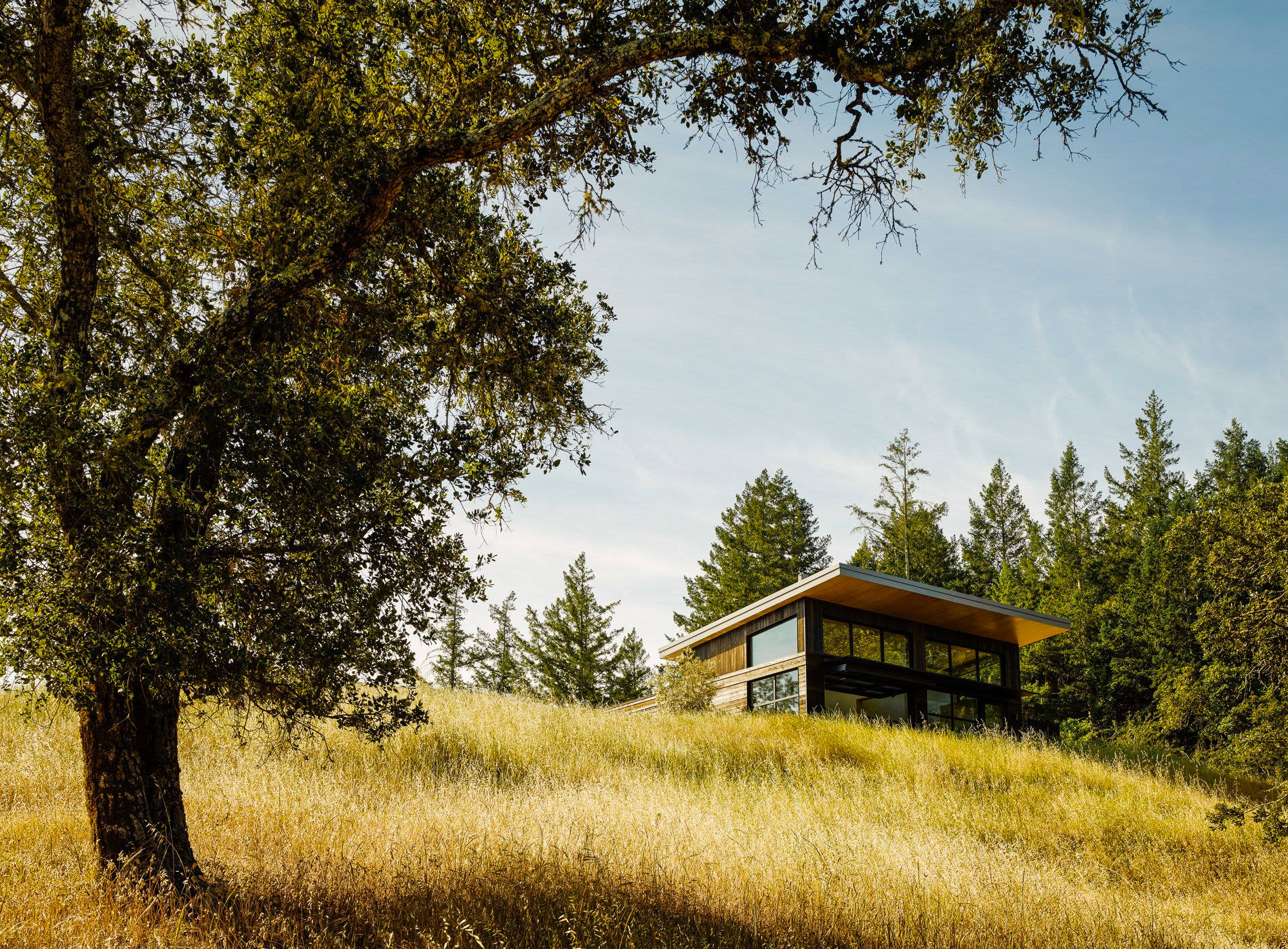 Healdsburg House Sonoma Californie Architecture Détails Paysages