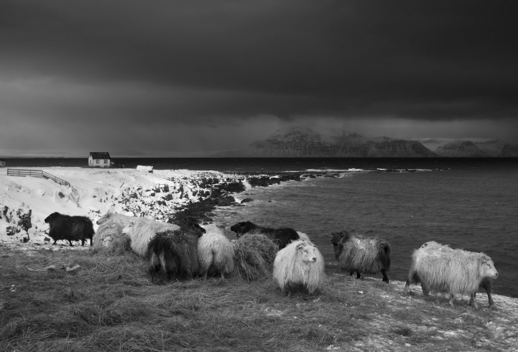 Leica M10 Monochrom Islande Ragnar Axelsson