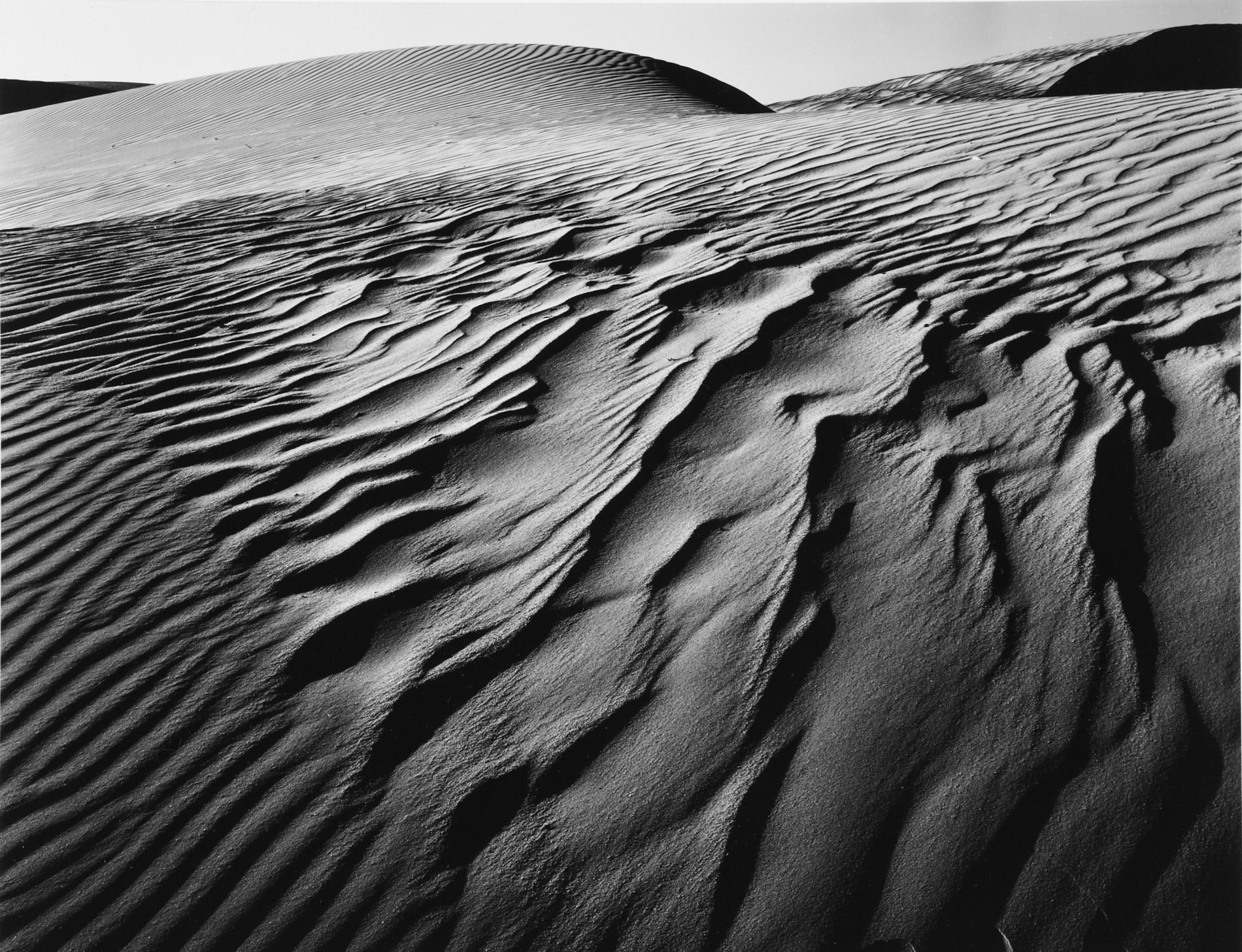 Brett Weston Photographie Oceano Dunes Californie 1984