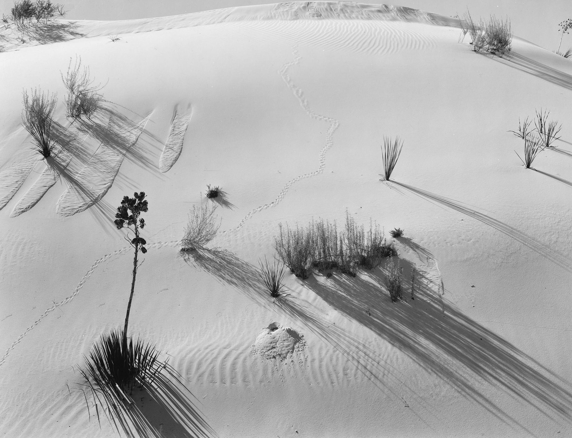 Brett Weston Photographie White Sands New Mexico 1947