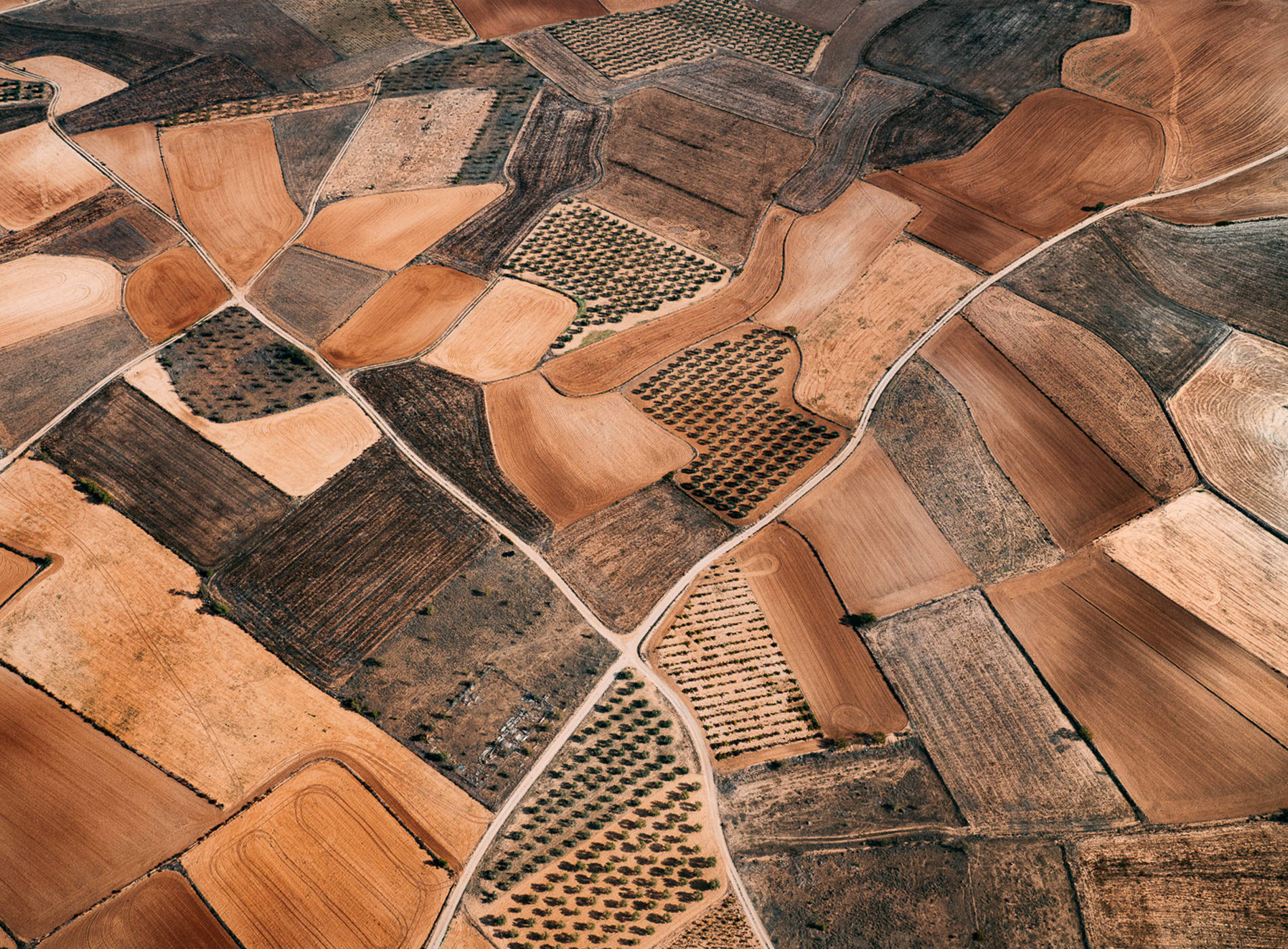 Tom Hegen Photographie The Spanish Farmland Series